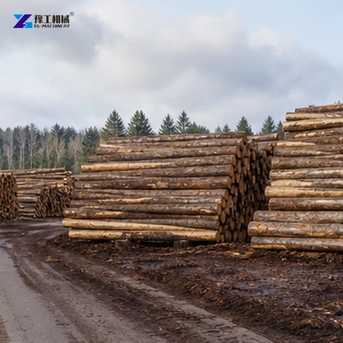 Organized Timber Yard Result