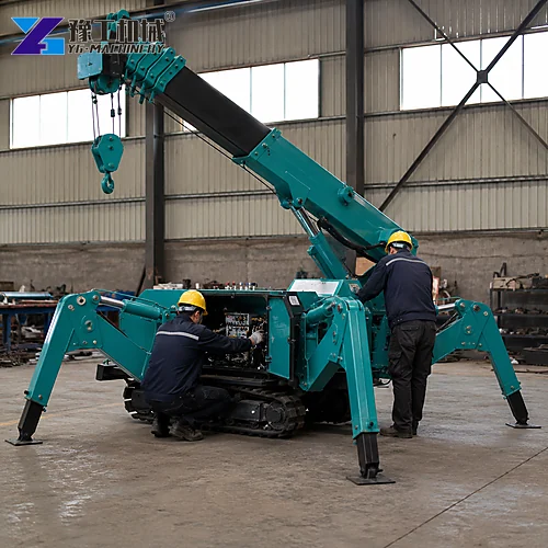 Tracked Mini Crane Factory Inspection