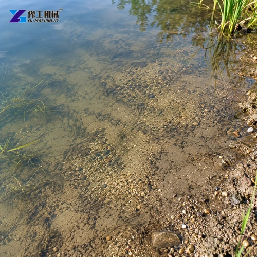 Mud and small sand granules beneath shallow pond-edge water